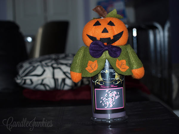 scarecrow candle cozie